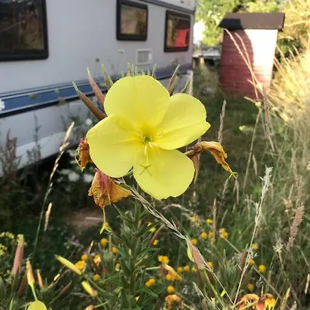 Tiny House Anneliese Hunde Okay 펜션 Oberbettingen